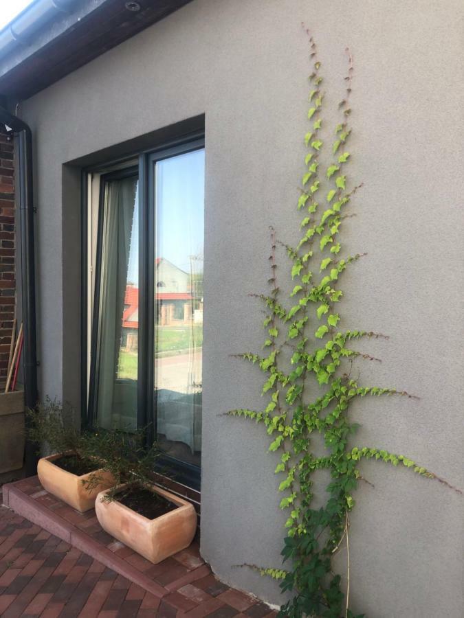 Flores Apartament カトヴィツェ エクステリア 写真